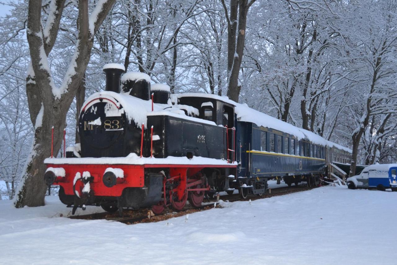 Le Train Des Reves Hotel Dracy-Saint-Loup Eksteriør billede